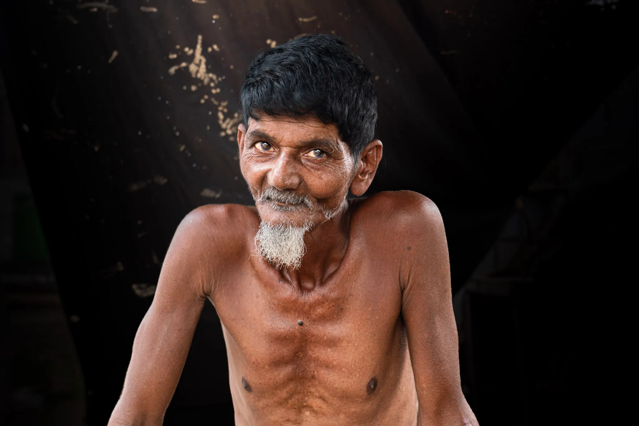 The Shipwright