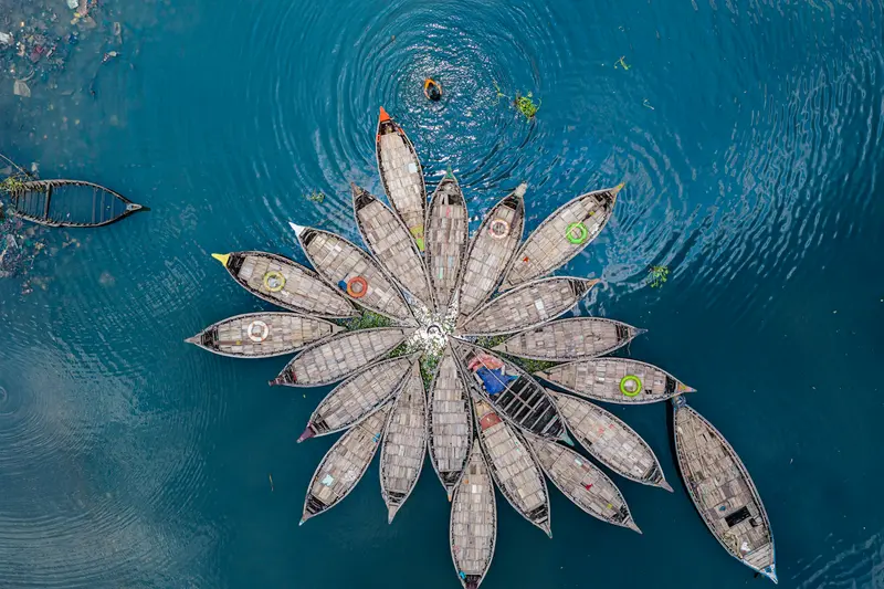 Swimmers at the Flower