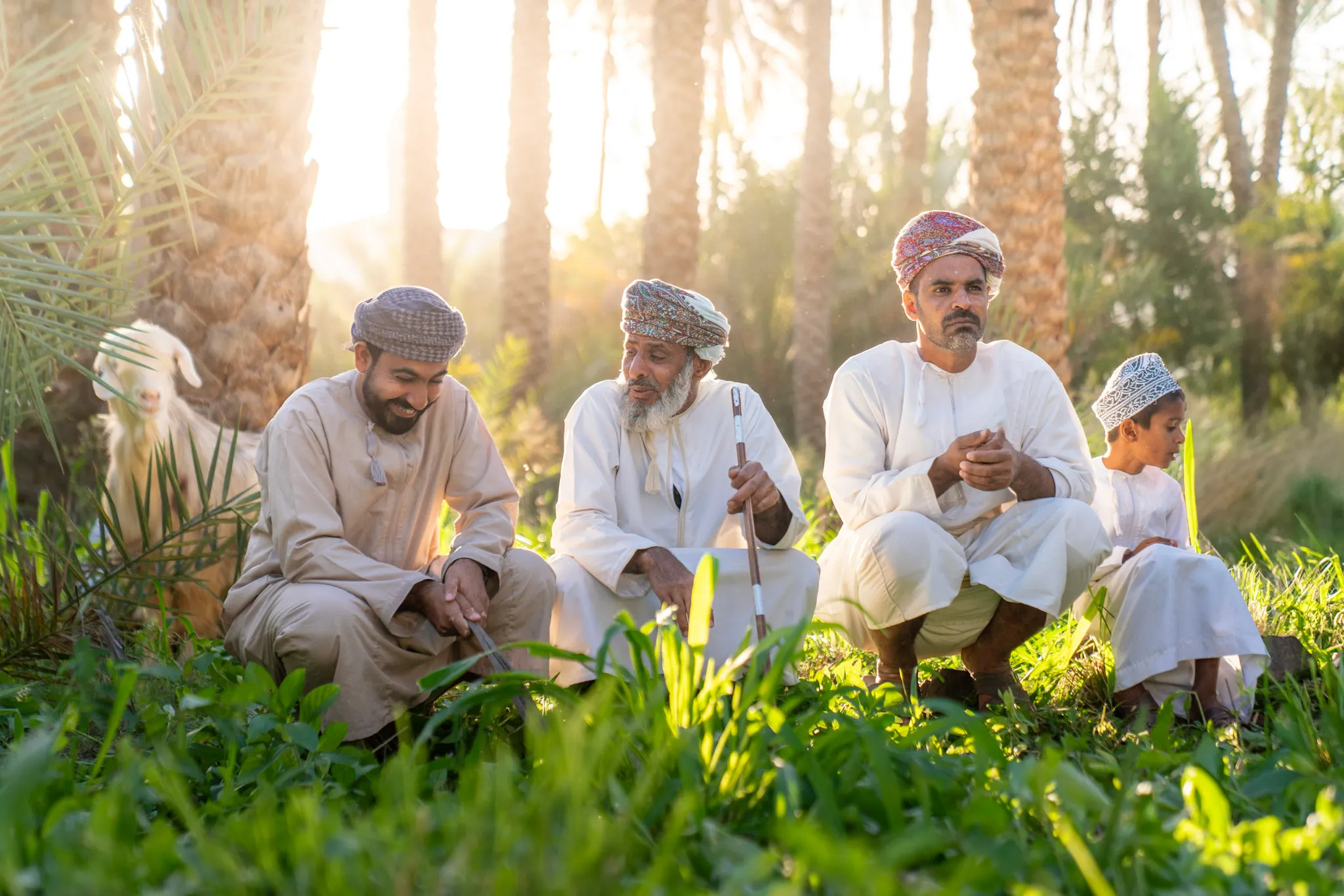 انتظارٌ بين العشب