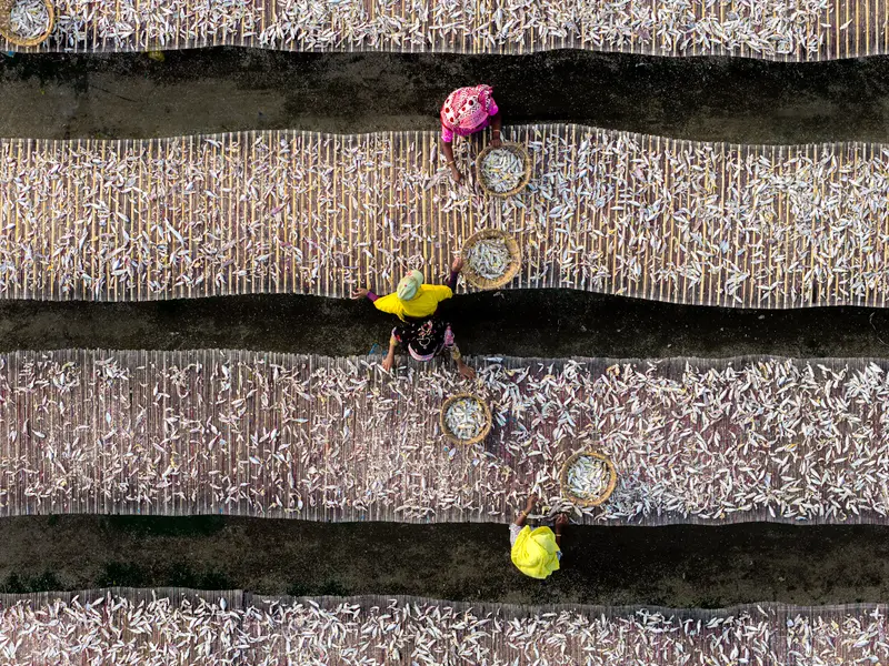 The Drying Yards II