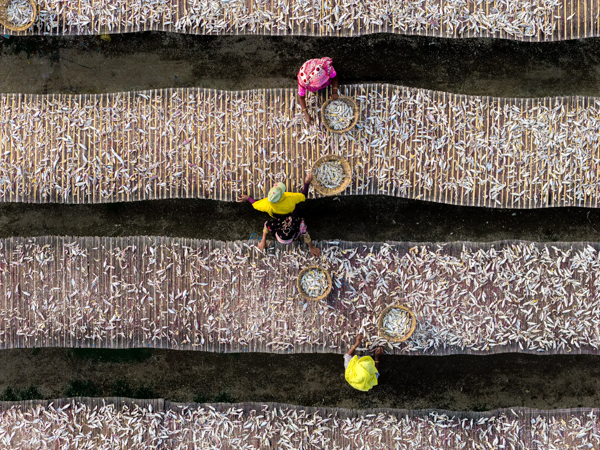 The Drying Yards II