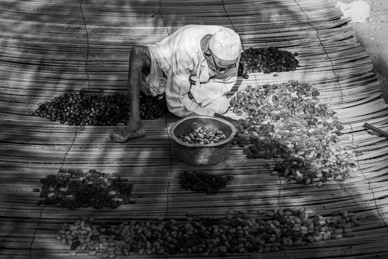فرز المحصول