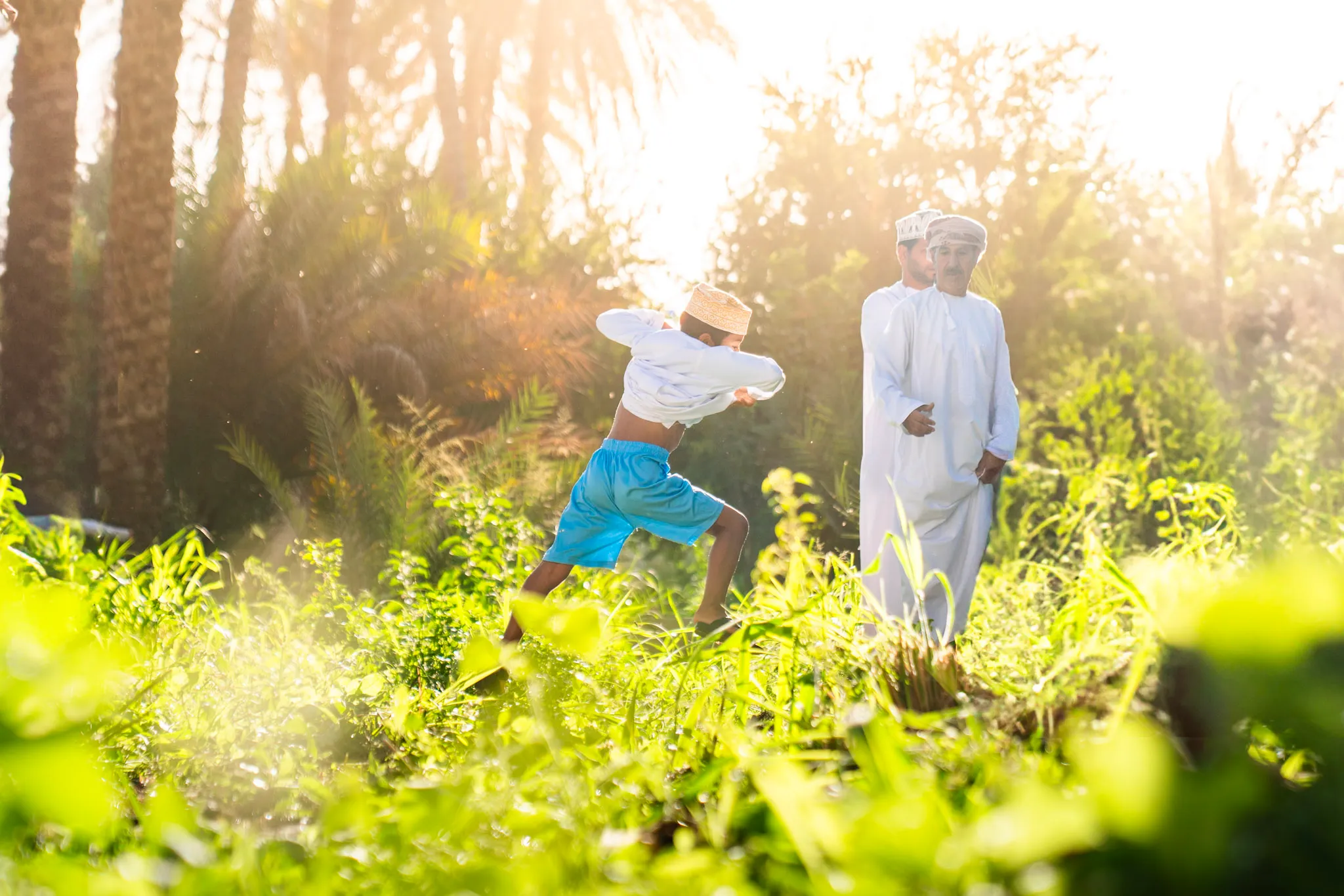 فرح في البستان الذهبي