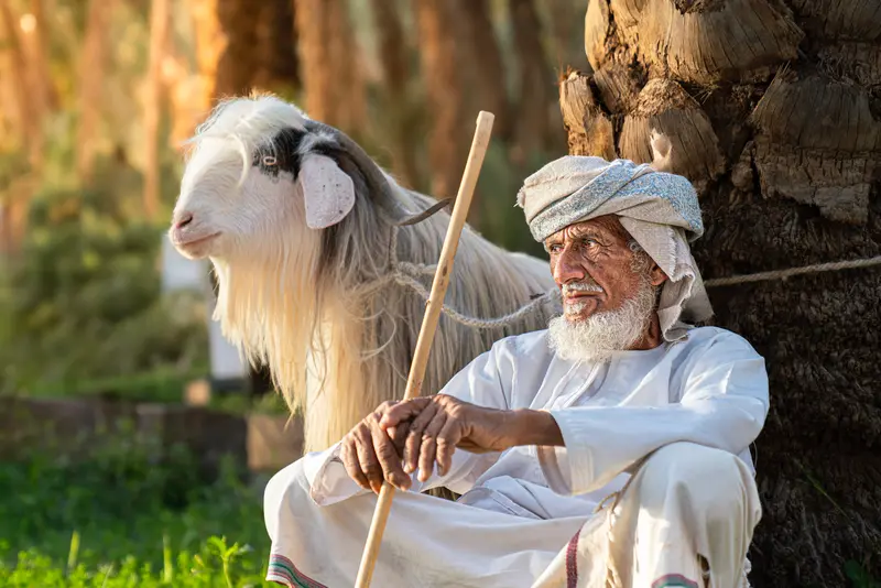 راعي القرية