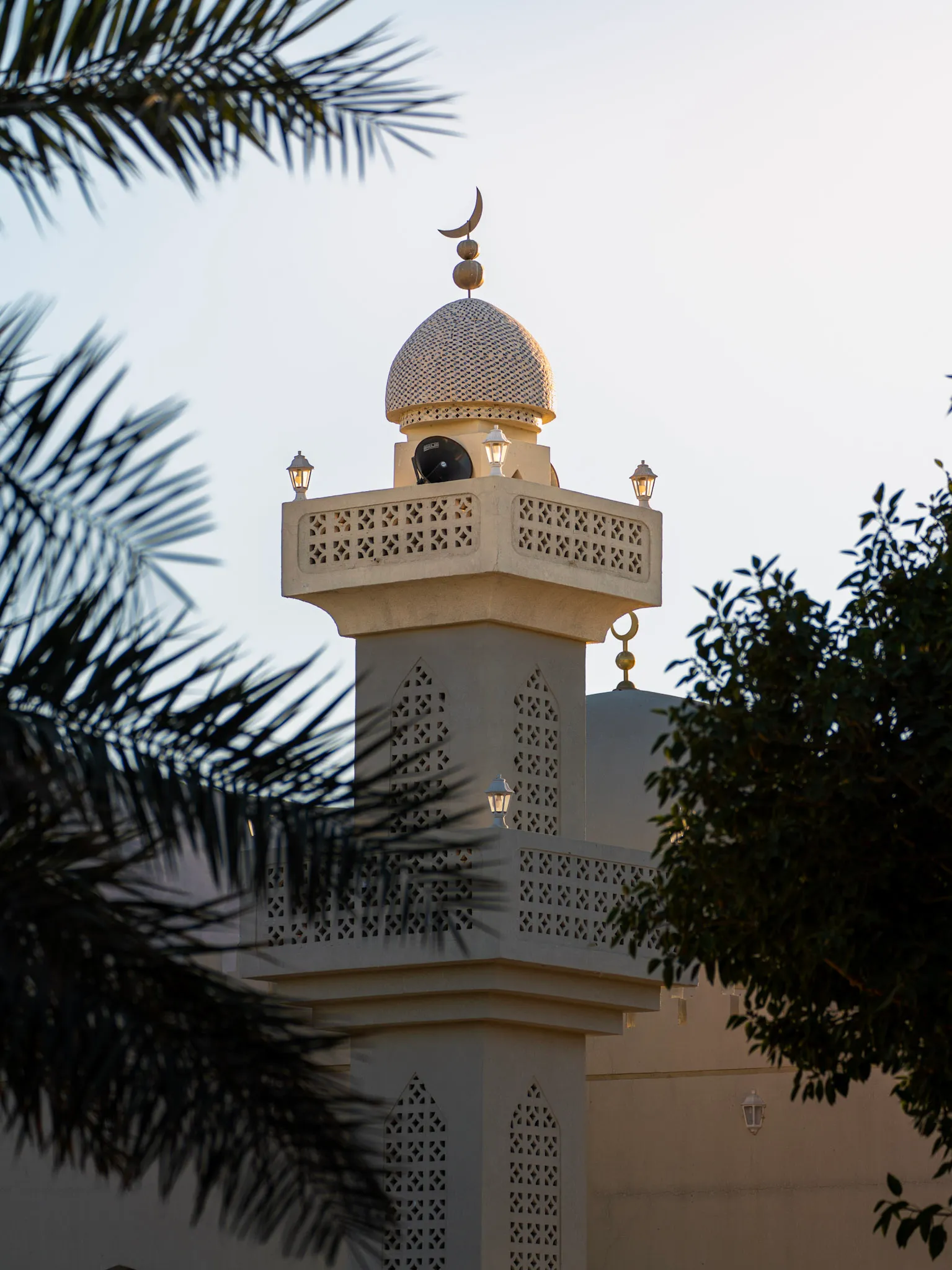 Crescent and Palm