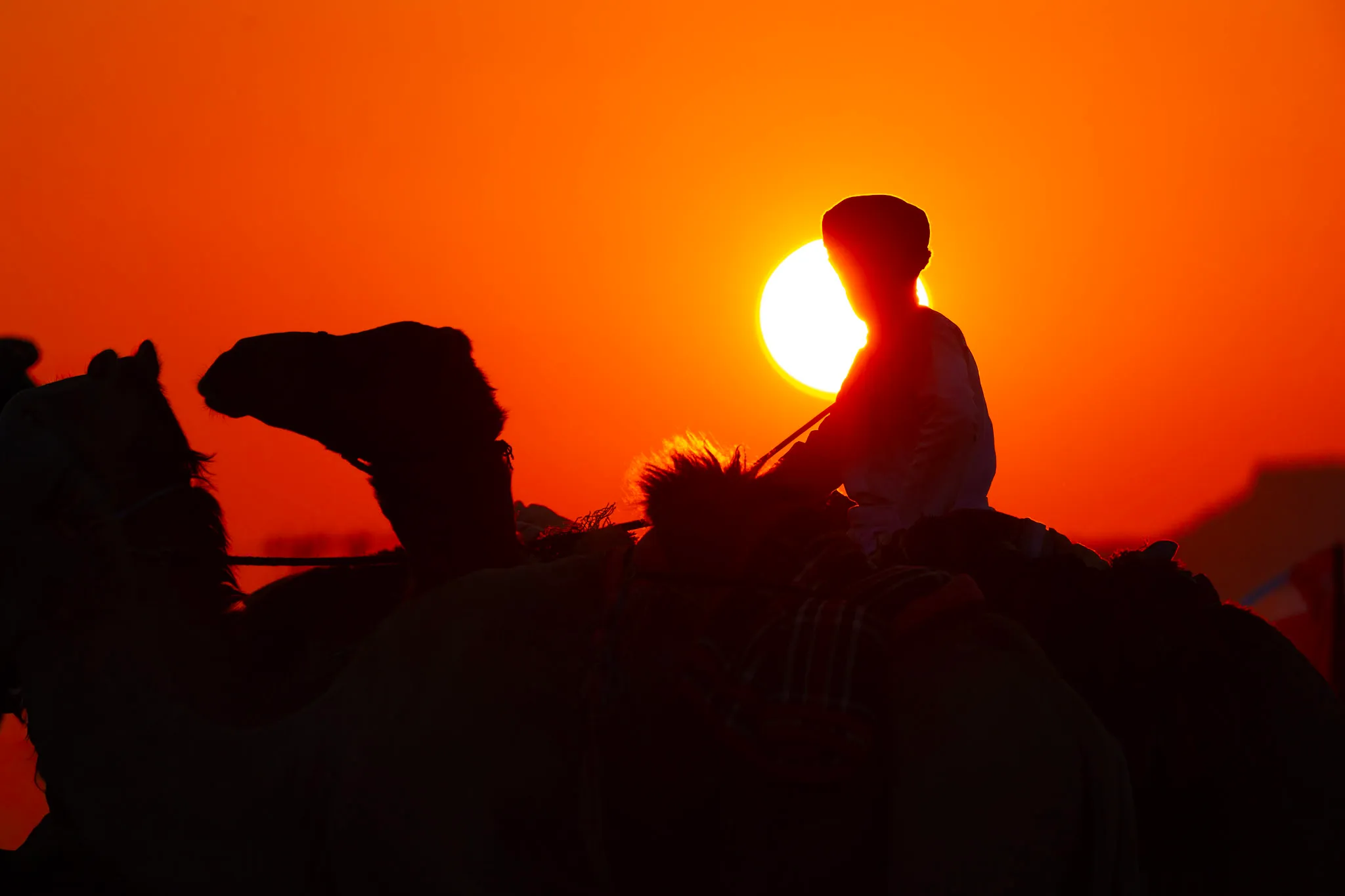 Rider at Sundown