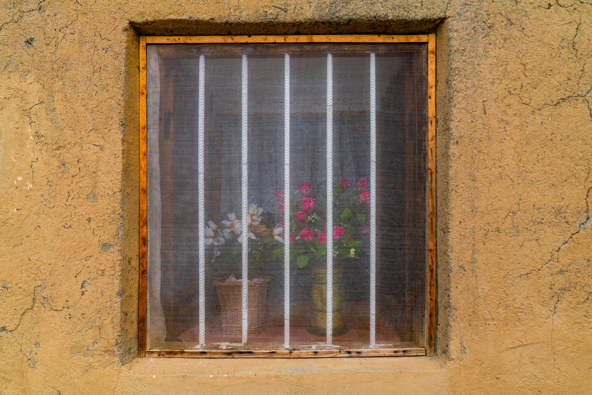 زهورٌ خلف الستار