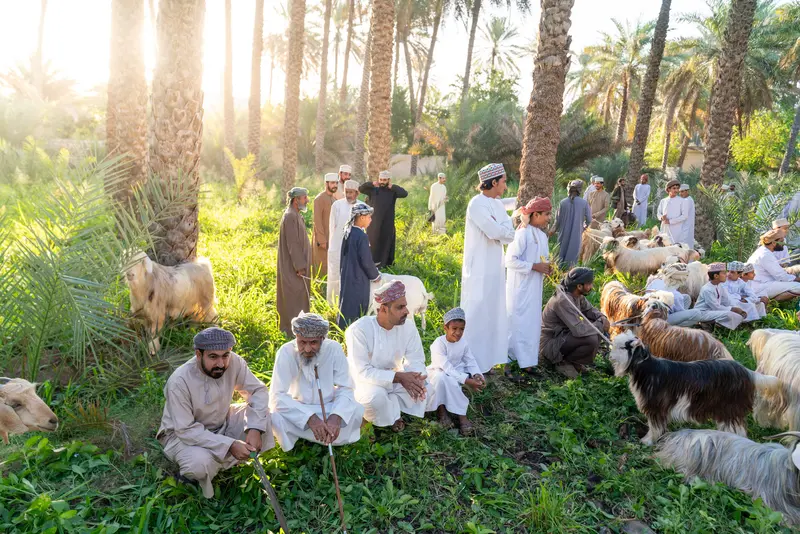 انتظارٌ بين العشب II