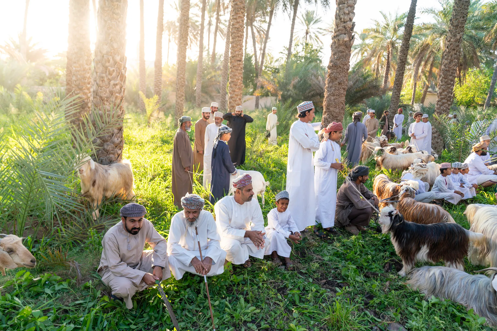 انتظارٌ بين العشب II