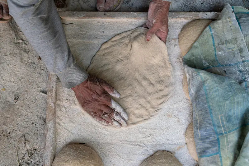 The Dough Veil III