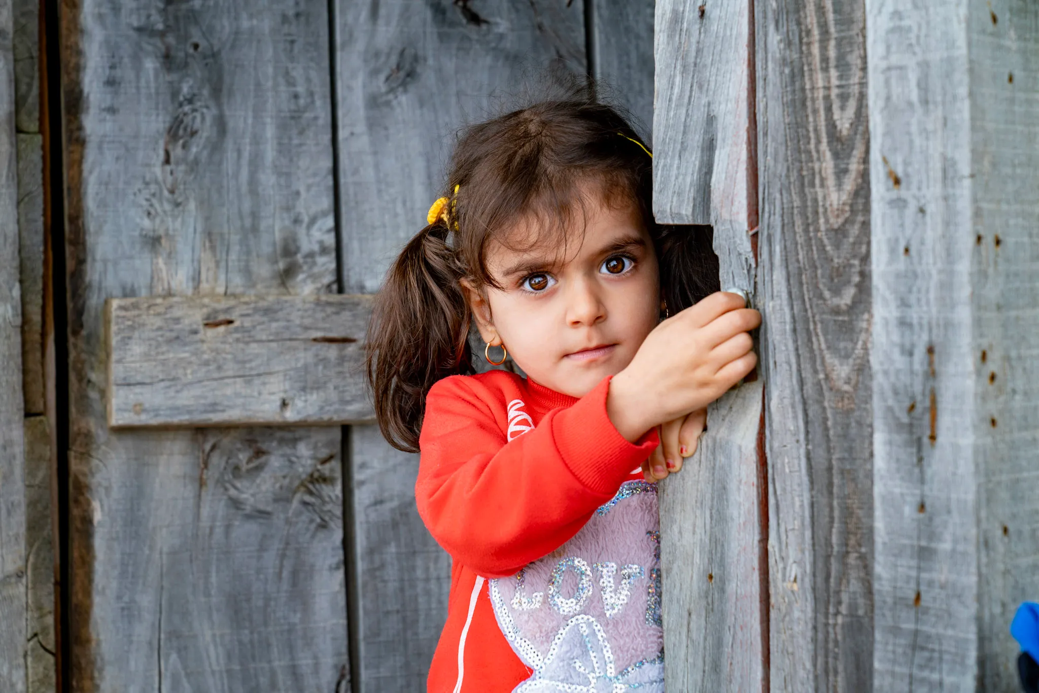 Peeking from the Barn