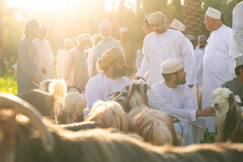 الشماغ الأحمر II
