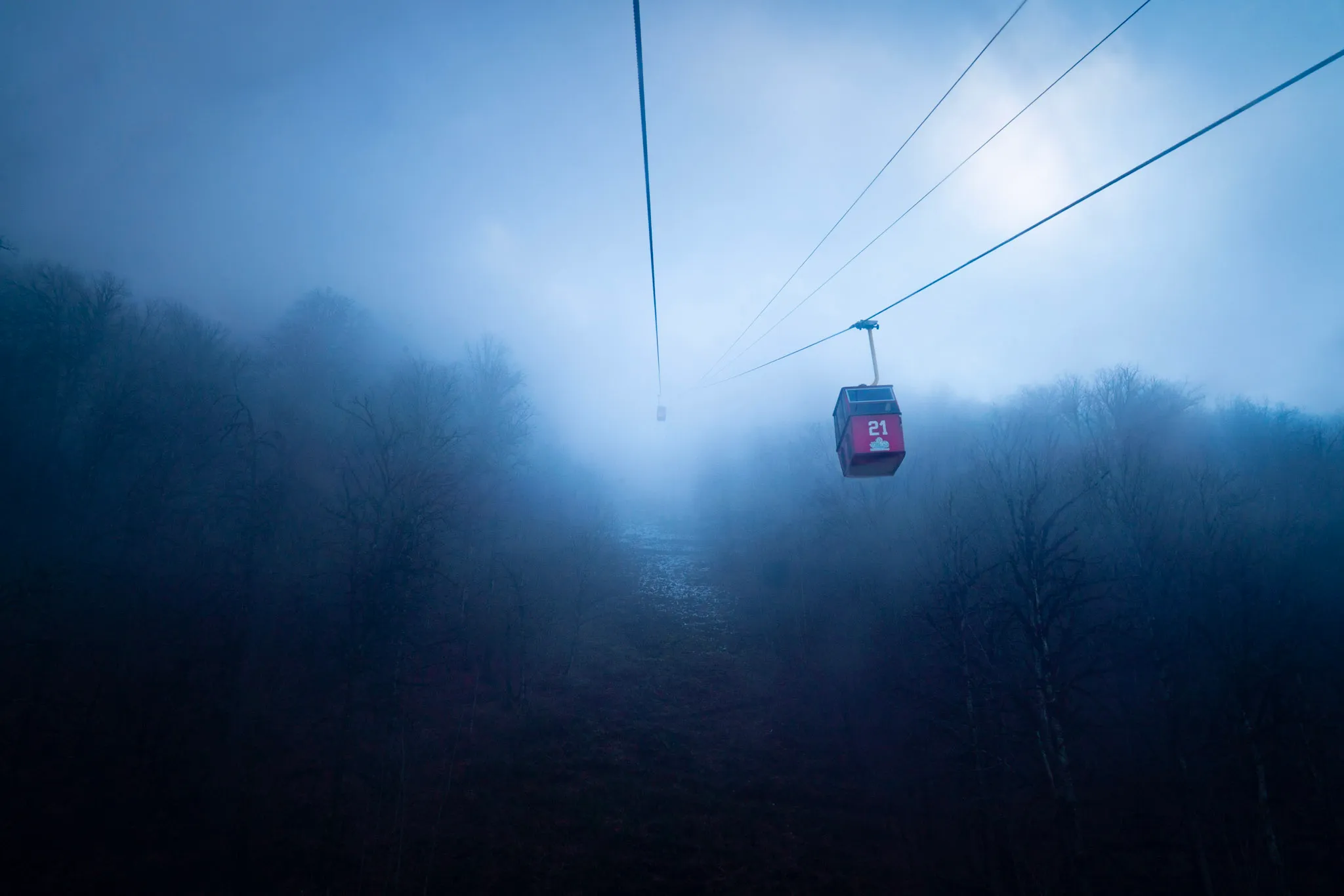 To the fog