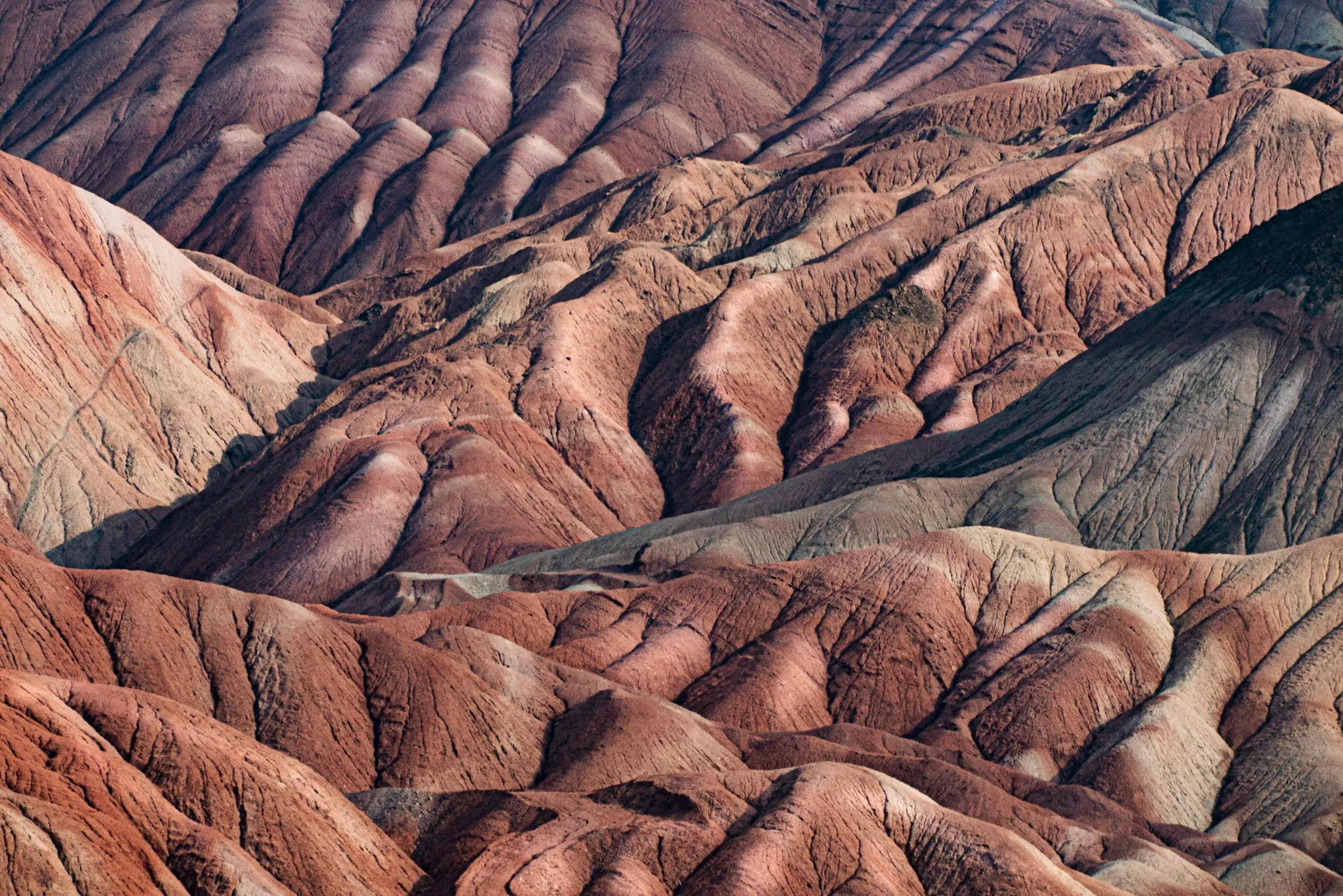 Painted Badlands