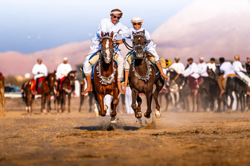 The Horse Race