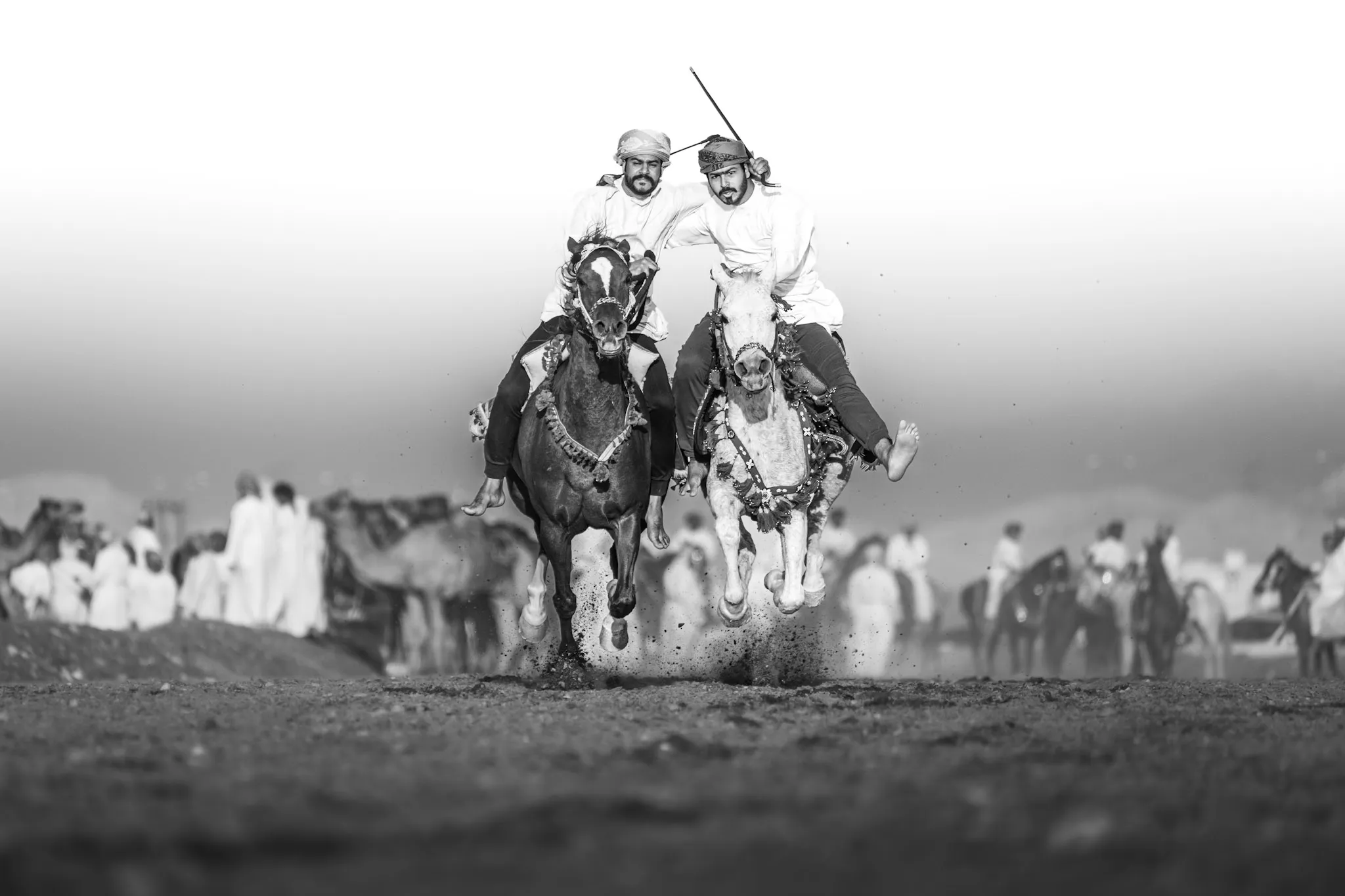 فرسان في الغبار II