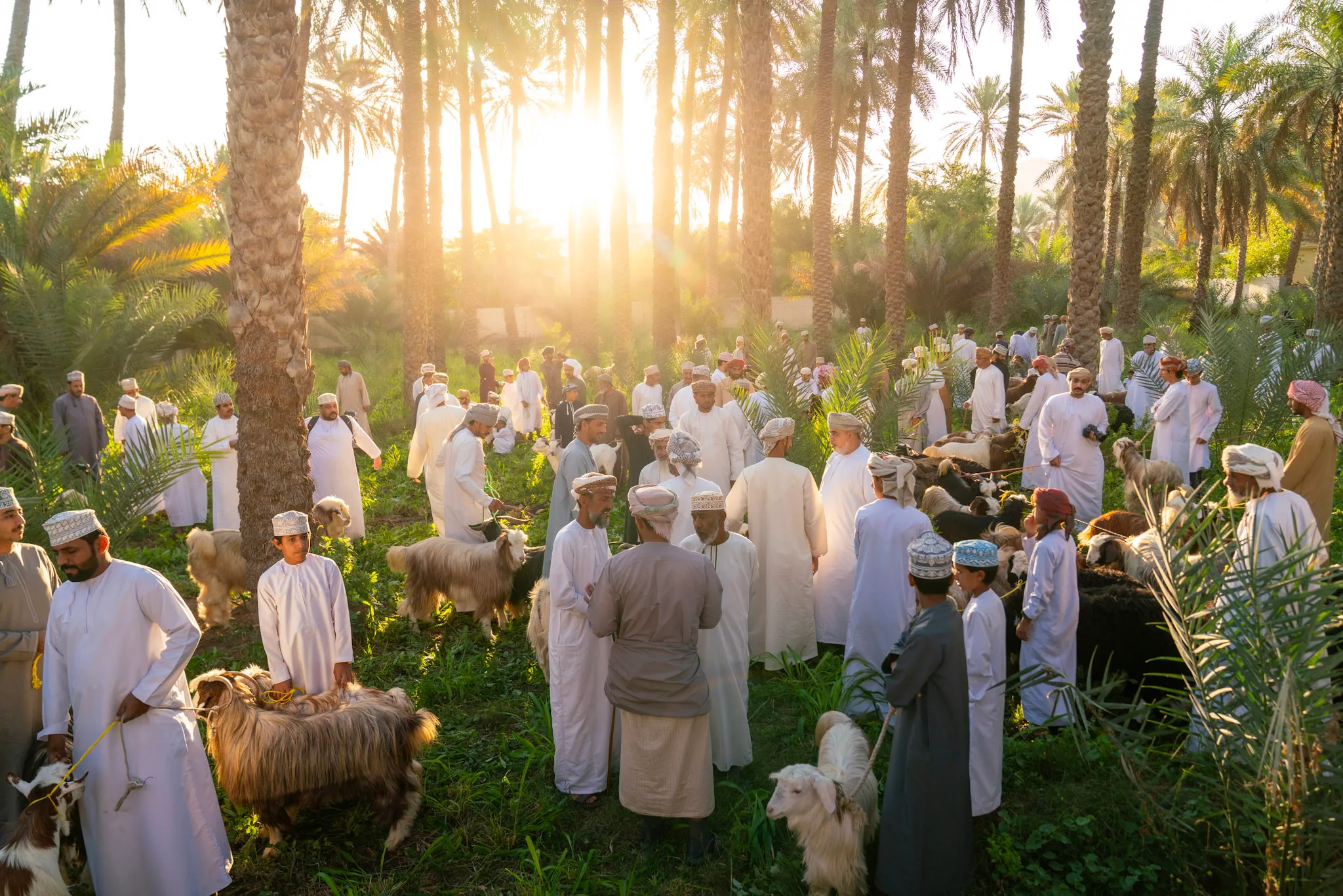 The Habta Market