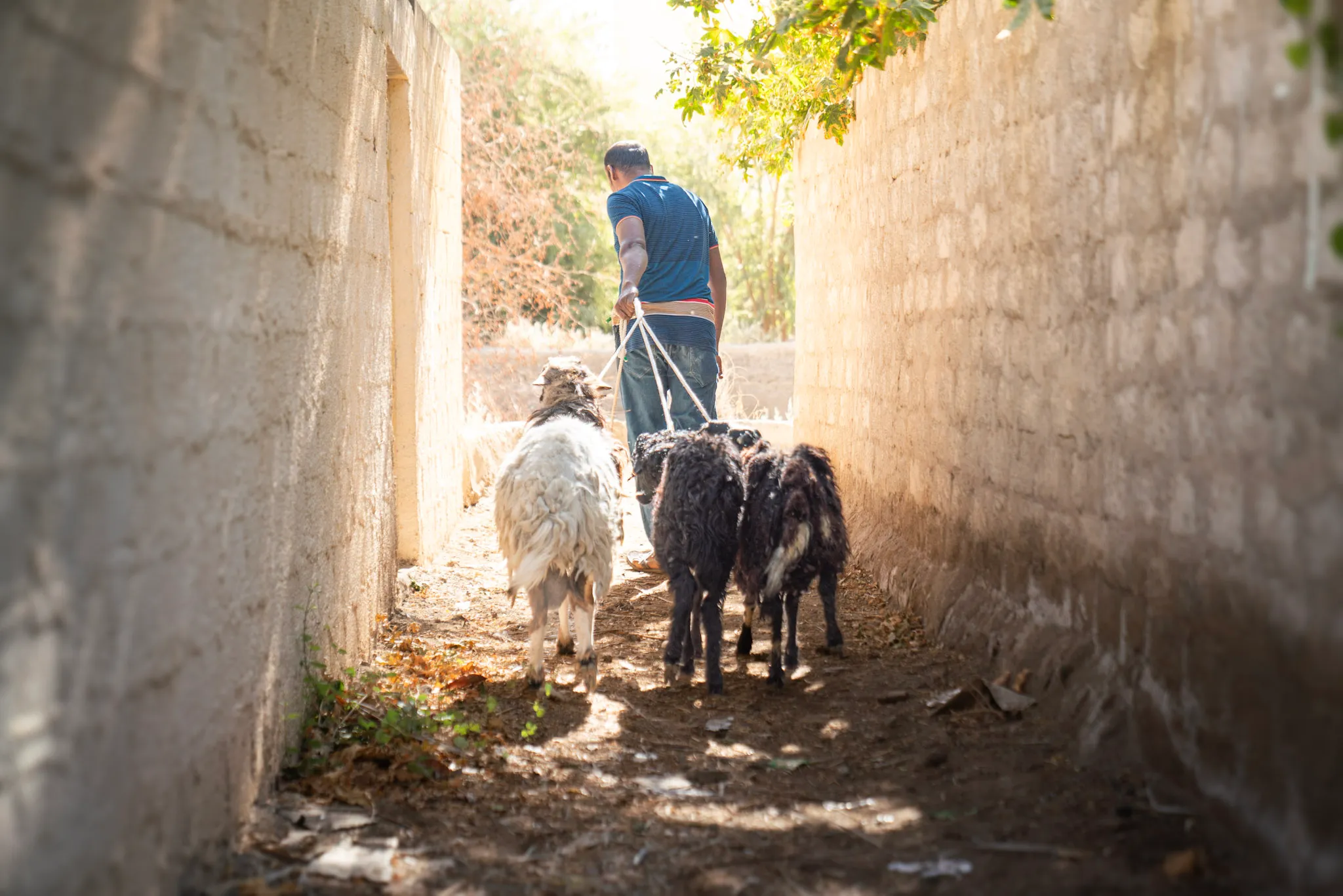 في طريق العودة بها