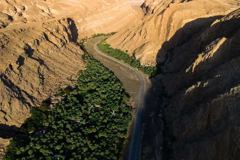 المسجد بين النخيل II