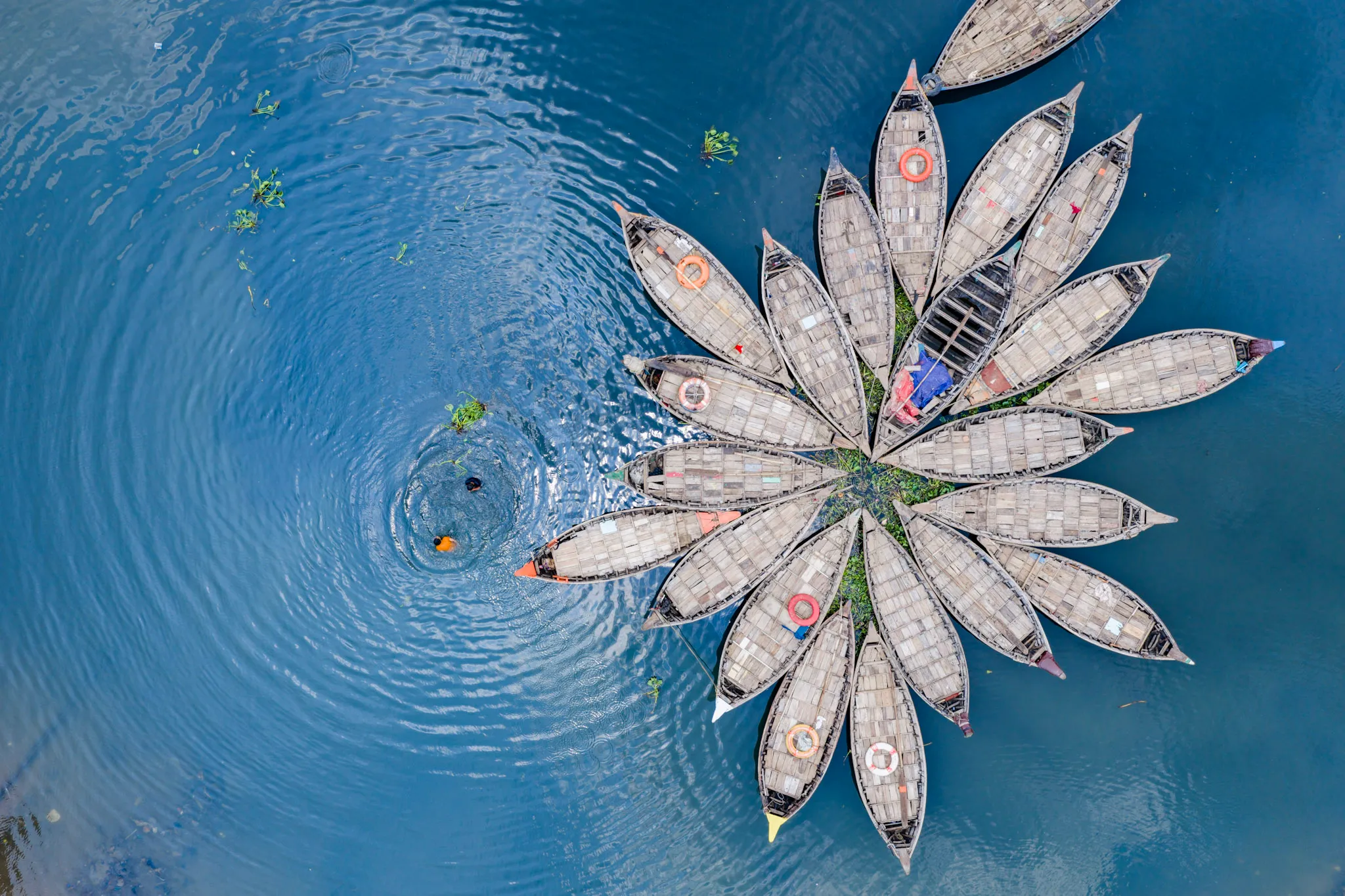 Swimmers at the Flower II