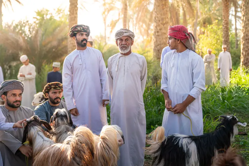 الجيل القادم II