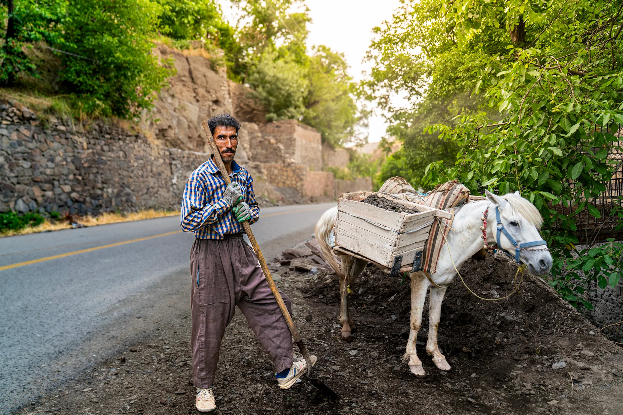 عمل الطريق بقوة الحصان