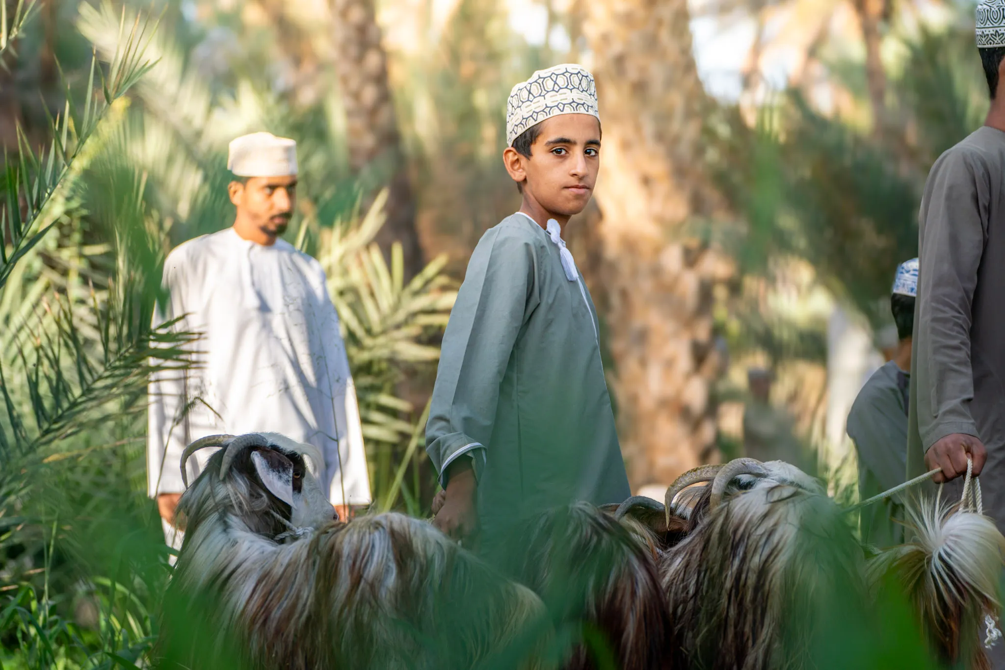 فتى السوق