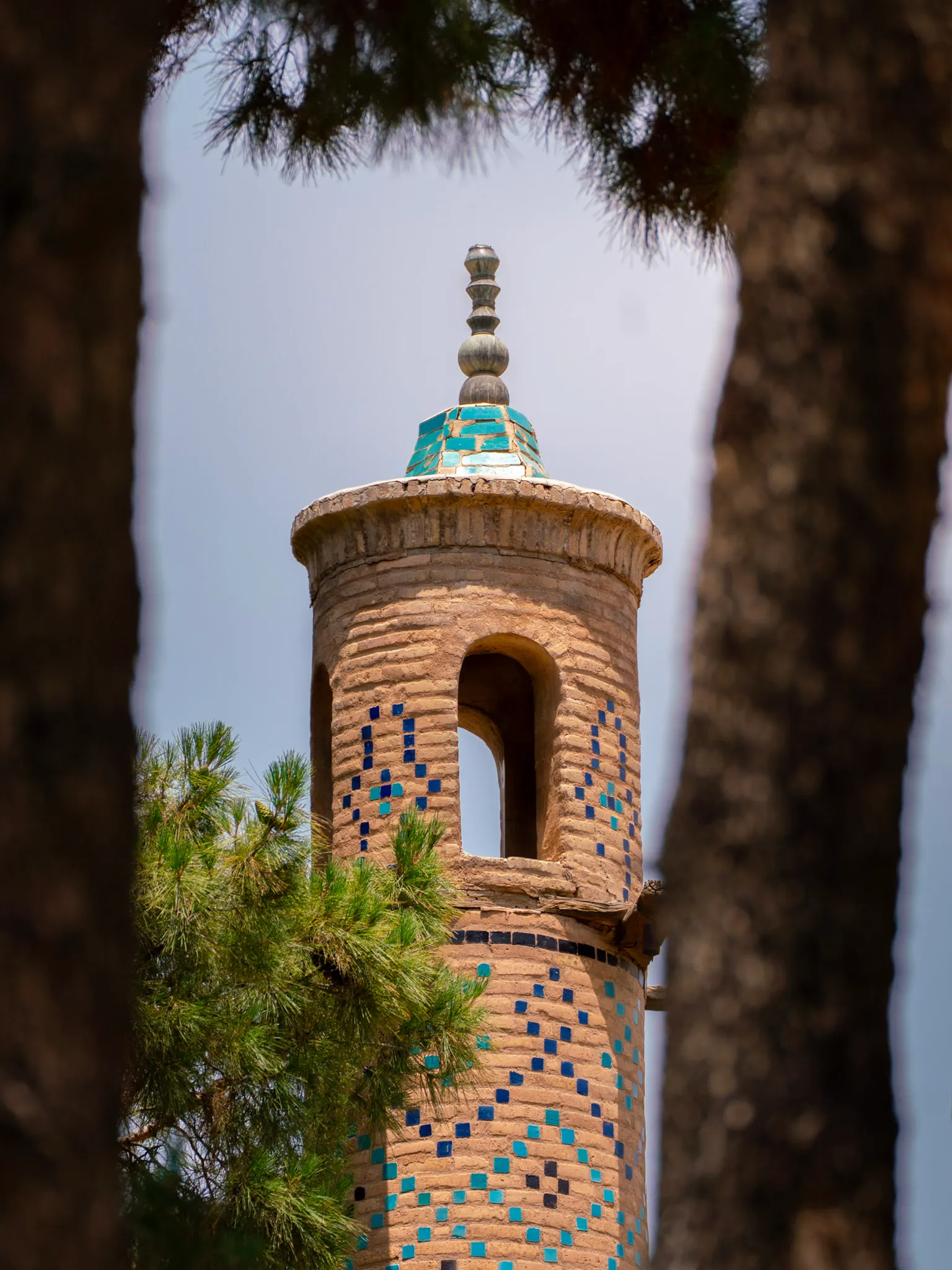 Minaret Through the Pines
