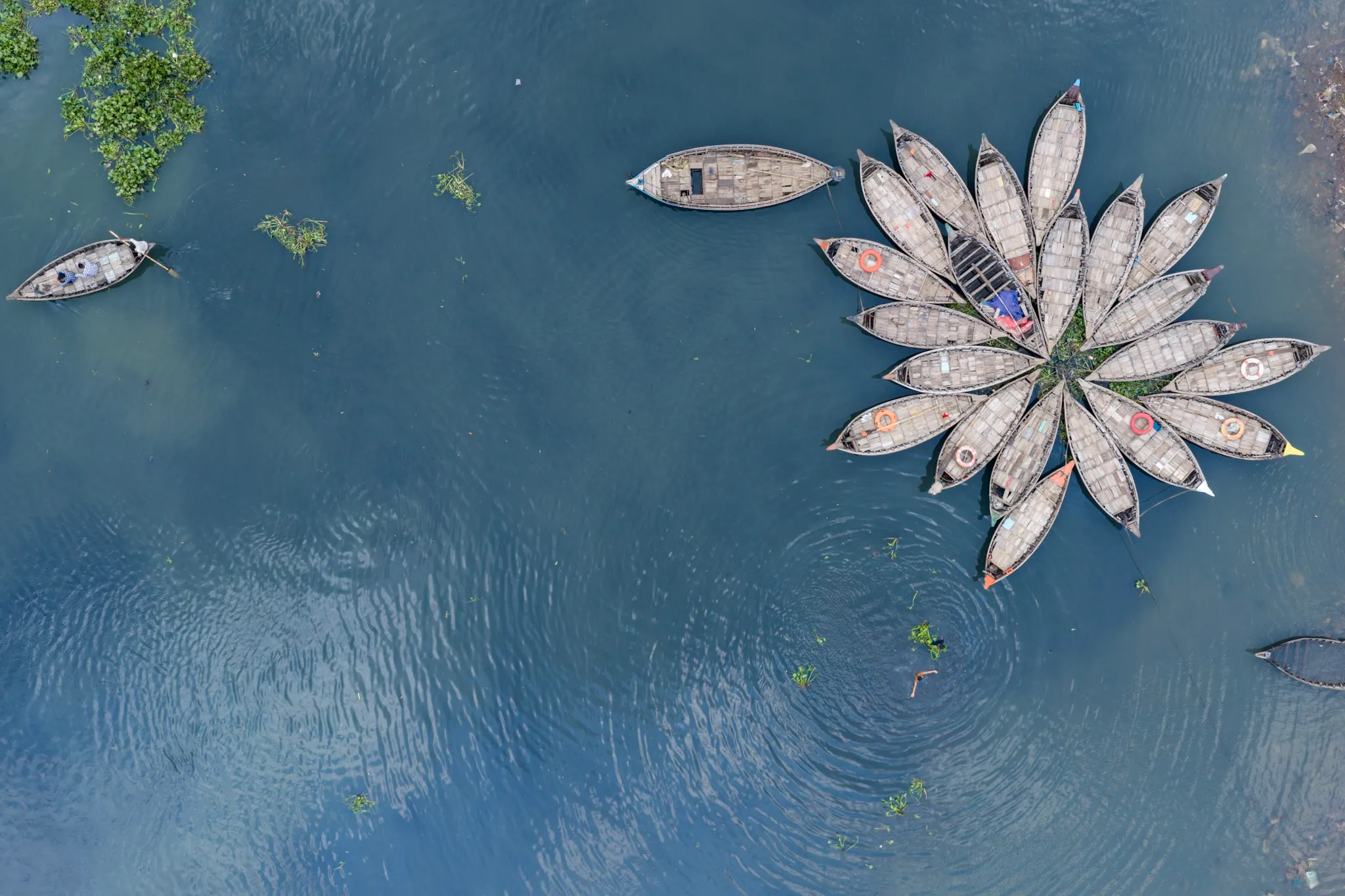 The Flower and the Loner