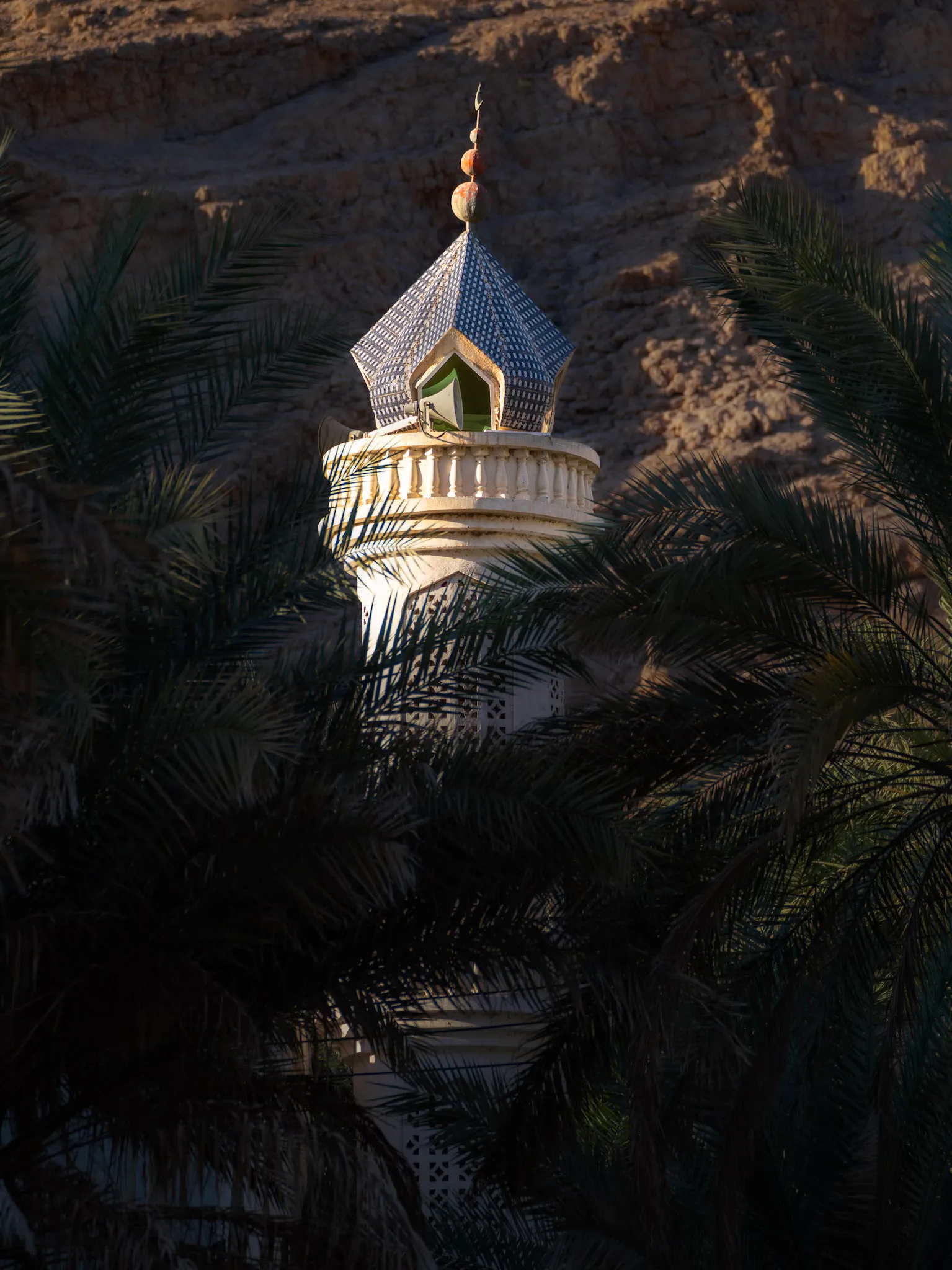 القبة بين النخيل