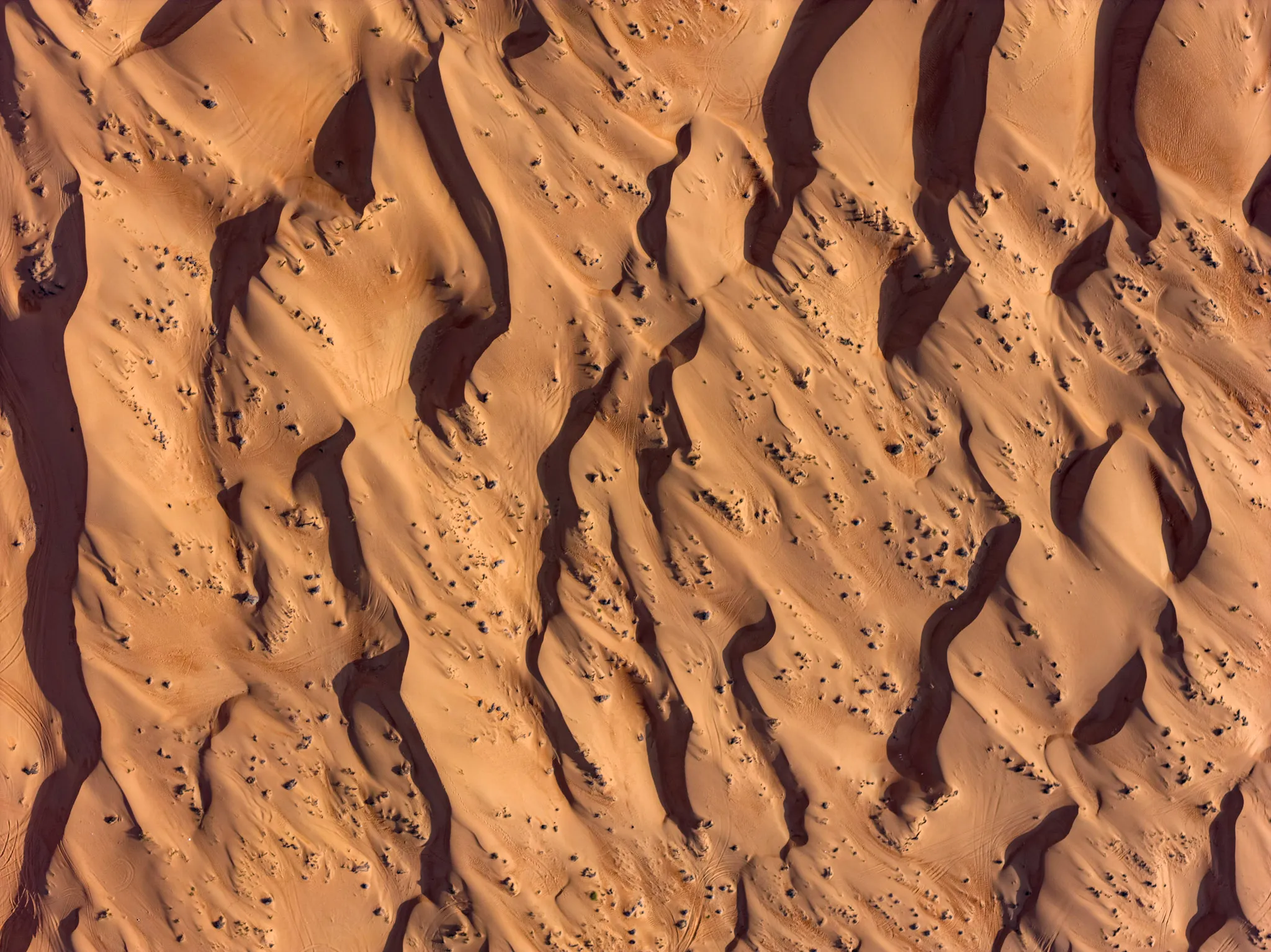 خط الكثبان