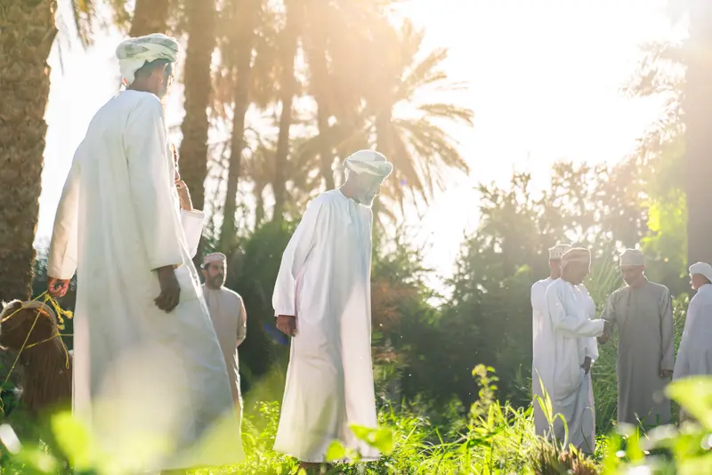 عائدٌ بأكياس العيد II