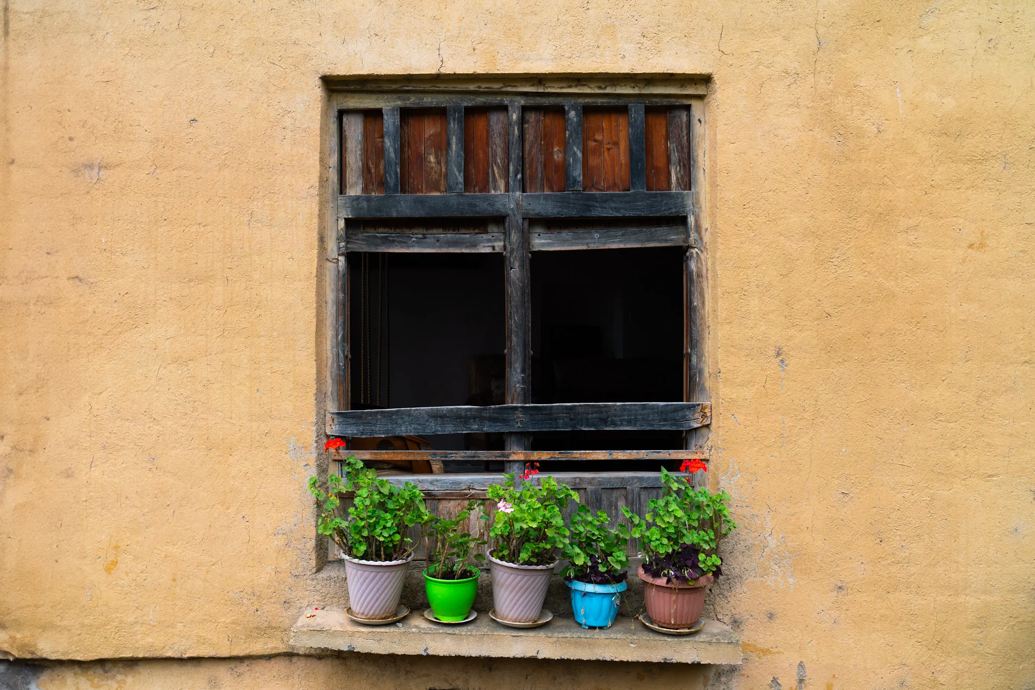 The Windowsill Garden
