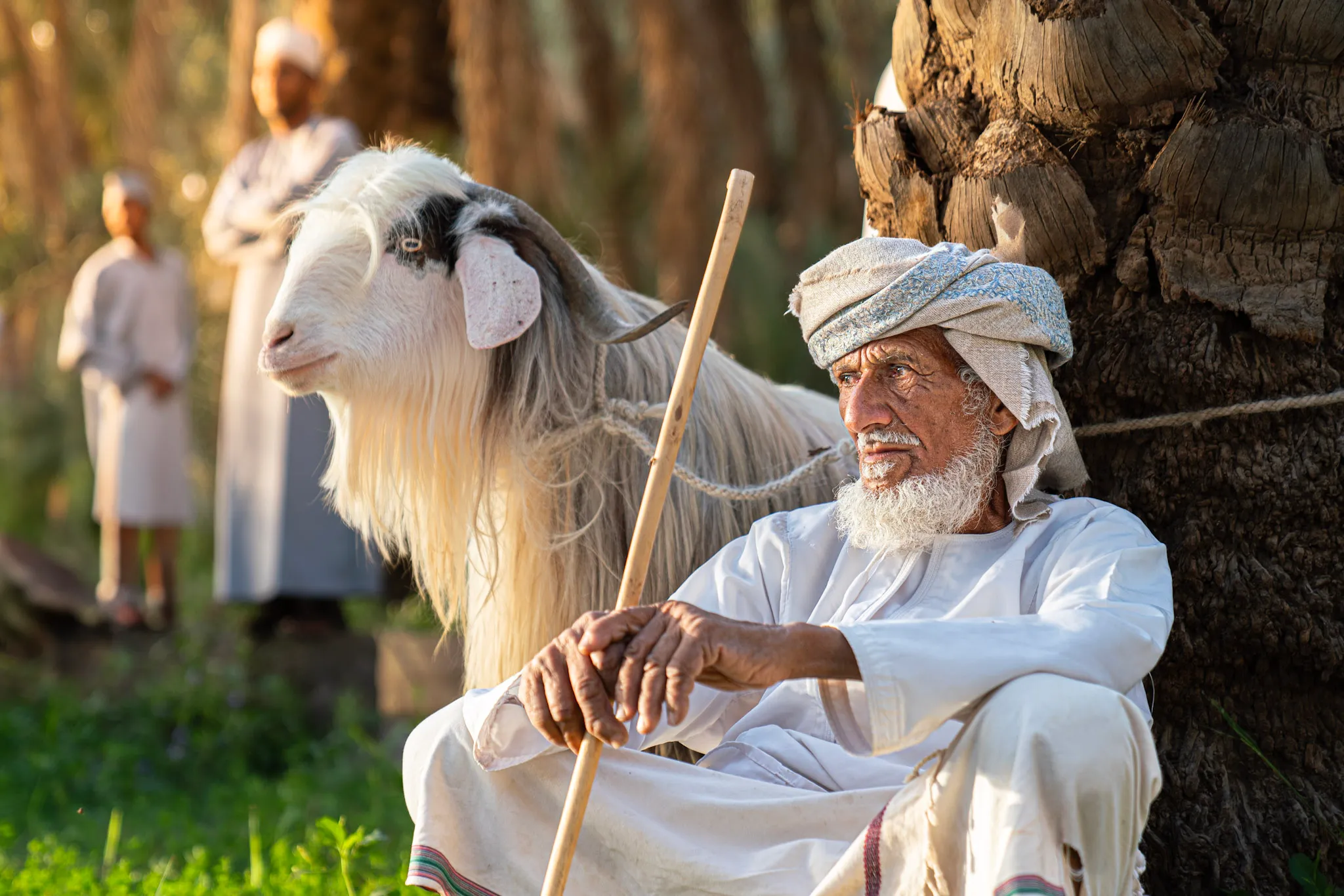 راعي القرية II