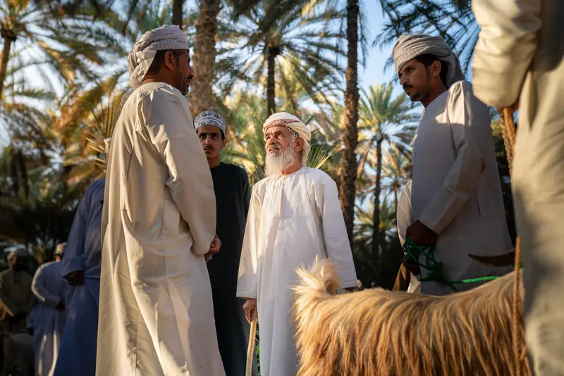 حجة البائع II
