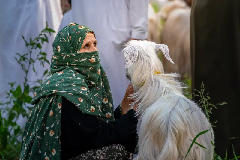 التحية