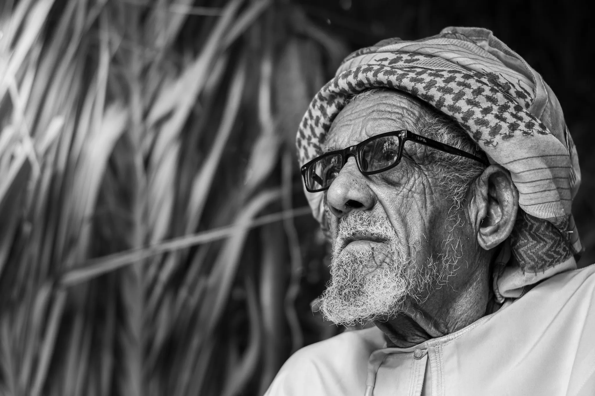 الشيخ بالنظارة